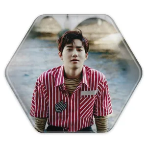 پیکسل شش ضلعی سوهو گروه موسیقی اکسو EXO