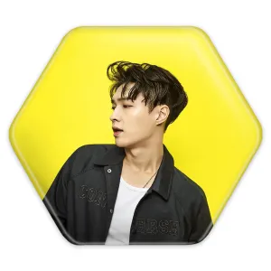 پیکسل شش ضلعی لی گروه موسیقی اکسو EXO