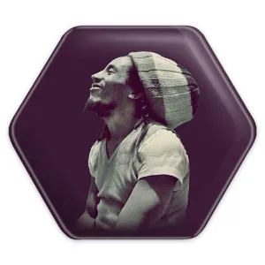 پیکسل شش ضلعی باب مارلی Bob Marley