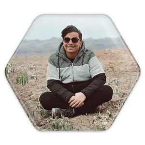 پیکسل شش ضلعی محسن ابراهیم زاده