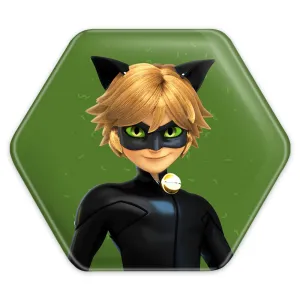 پیکسل شش ضلعی پسر گربه ای