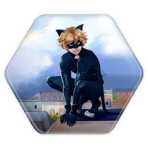 پیکسل شش ضلعی پسر گربه ای