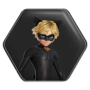 پیکسل شش ضلعی پسر گربه ای