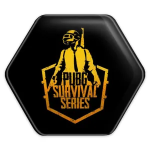 پیکسل شش ضلعی بازی پابجی PUBG