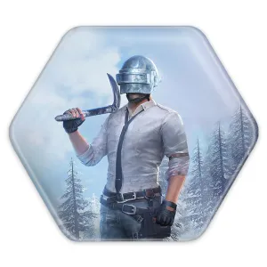 پیکسل شش ضلعی بازی پابجی PUBG