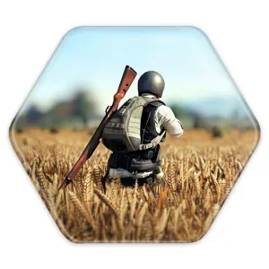 پیکسل شش ضلعی بازی پابجی PUBG