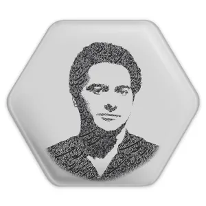 پیکسل شش ضلعی همایون شجریان