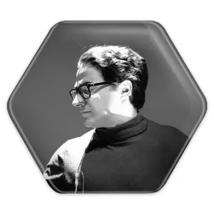 پیکسل شش ضلعی همایون شجریان