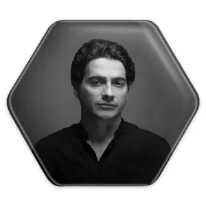 پیکسل شش ضلعی همایون شجریان