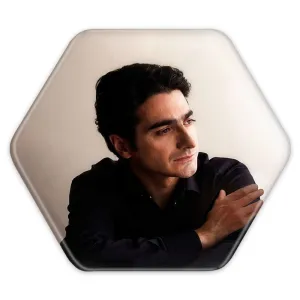 پیکسل شش ضلعی همایون شجریان
