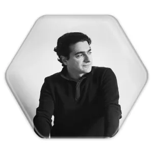 پیکسل شش ضلعی همایون شجریان