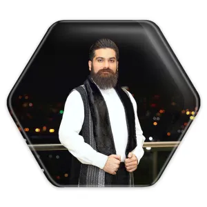 پیکسل شش ضلعی علی زندوکیلی