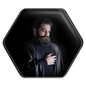 پیکسل شش ضلعی علی زندوکیلی