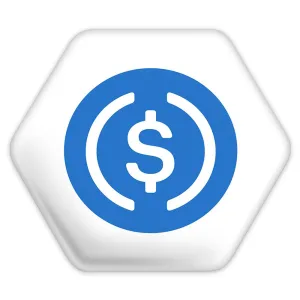 پیکسل شش ضلعی ارز دیجیتال یو اس دی کوین