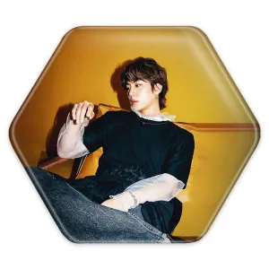 پیکسل شش ضلعی جین Jin گروه بی تی اس BTS