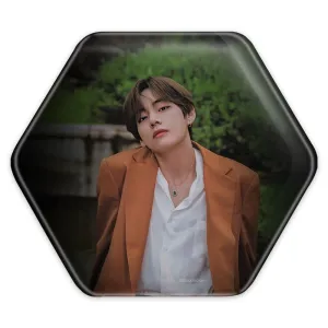 پیکسل شش ضلعی تهیونگ وی Teahyung گروه بی تی اس BTS