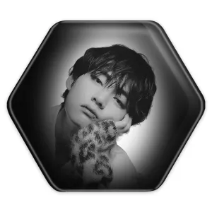 پیکسل شش ضلعی تهیونگ وی Teahyung گروه بی تی اس BTS