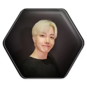 پیکسل شش ضلعی جی هوپ J Hope گروه بی تی اس BTS