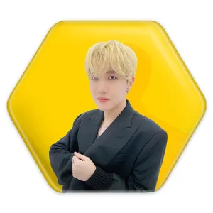 پیکسل شش ضلعی جی هوپ J Hope گروه بی تی اس BTS