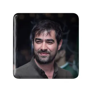 پیکسل مربعی شهاب حسینی