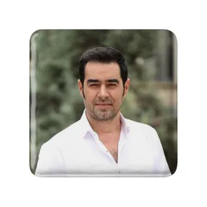 پیکسل مربعی شهاب حسینی