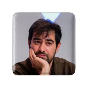 پیکسل مربعی شهاب حسینی
