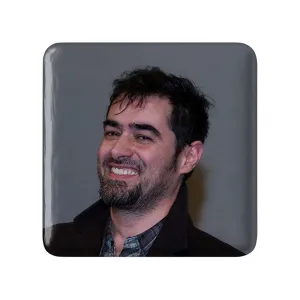 پیکسل مربعی شهاب حسینی