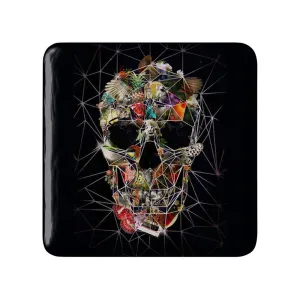 پیکسل مربعی اسکلت Skleton