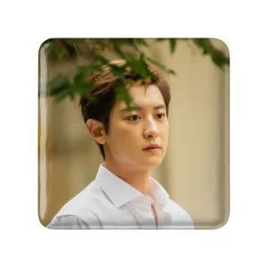 پیکسل مربعی پارک چانیول گروه اکسو EXO