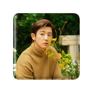 پیکسل مربعی پارک چانیول گروه اکسو EXO