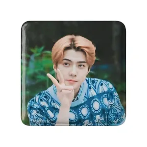 پیکسل مربعی سهون گروه اکسو EXO