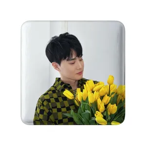 پیکسل مربعی سوهو گروه اکسو EXO
