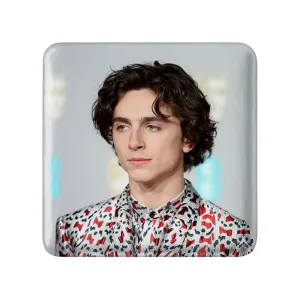 پیکسل مربعی تیموتی شالامی Timothée Chalamet