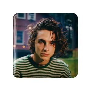 پیکسل مربعی تیموتی شالامی Timothée Chalamet