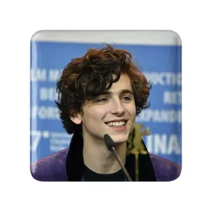 پیکسل مربعی تیموتی شالامی Timothée Chalamet