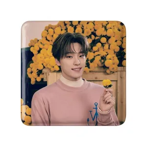 پیکسل مربعی دینو گروه سونتین Seventeen