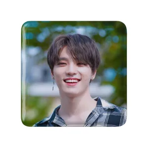 پیکسل مربعی دینو گروه سونتین Seventeen