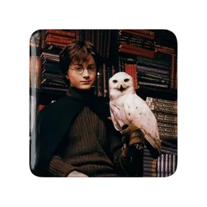 پیکسل مربعی هری پاتر Harry Potter