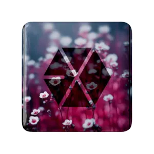 پیکسل مربعی گروه موسیقی اکسو EXO