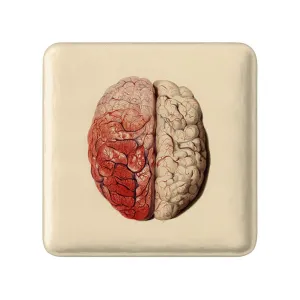 پیکسل مربعی مغز Brain