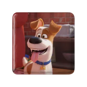 مگنت مربعی زندگی پنهان حیوانات خانگی The Secret Life of Pets