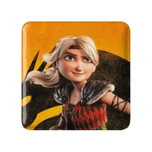 مگنت مربعی اژدها سواران DreamWorks Dragons