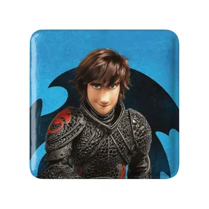 مگنت مربعی اژدها سواران DreamWorks Dragons