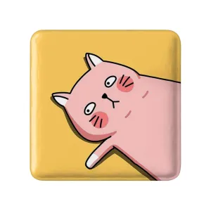 مگنت مربعی گربه Cat
