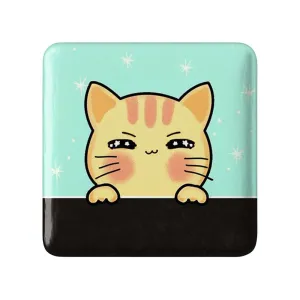 مگنت مربعی گربه Cat