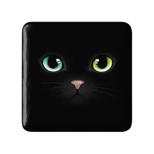 مگنت مربعی گربه Cat