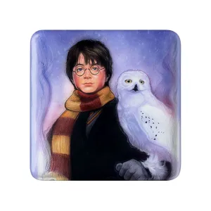 مگنت مربعی هری پاتر Harry Potter