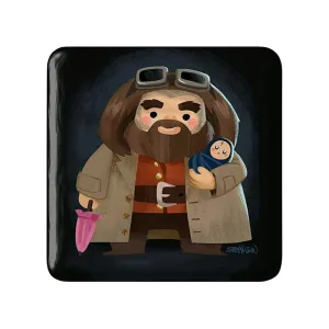 مگنت مربعی هری پاتر Harry Potter