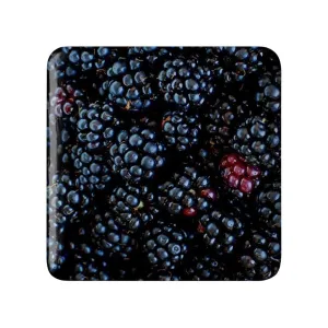 مگنت مربعی پترن خوراکی