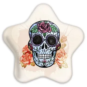 پیکسل ستاره ای اسکلت Skleton